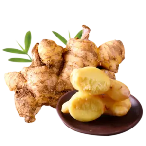 Ginger Pickle